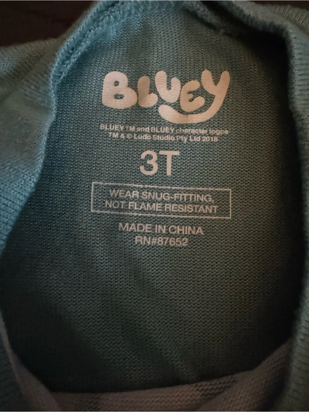 Bluey Kids Two-Piece Pajama Set in Teal & Cream